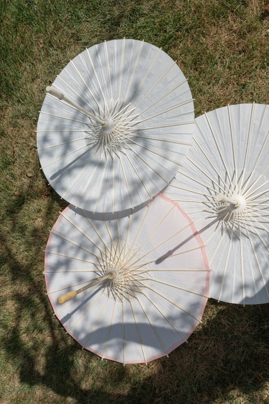 A Vineyard Wedding for Brooke and Kaden