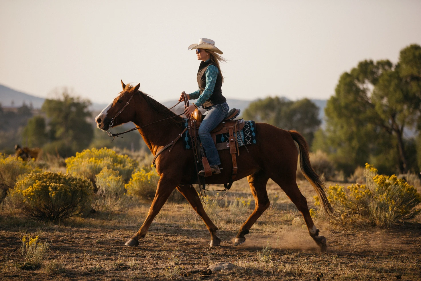 Brush Creek Ranch