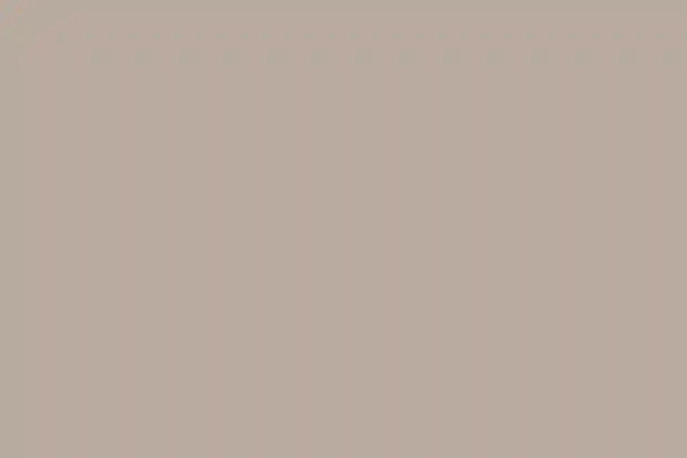 A Wedding for Deanna and Daniel