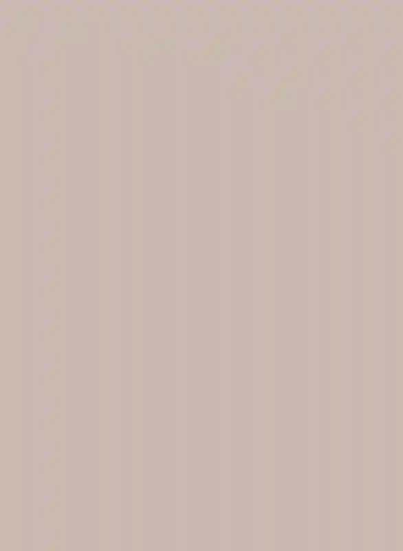 A Beach Wedding for Chelsea and Jason