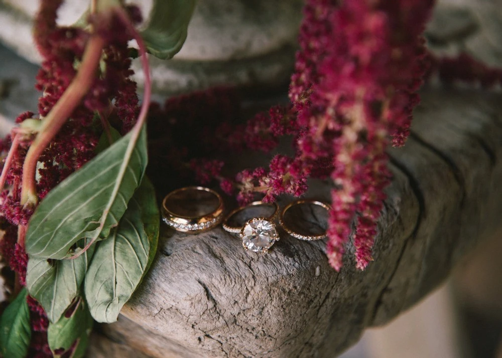 A Wedding for Kelly and Eric