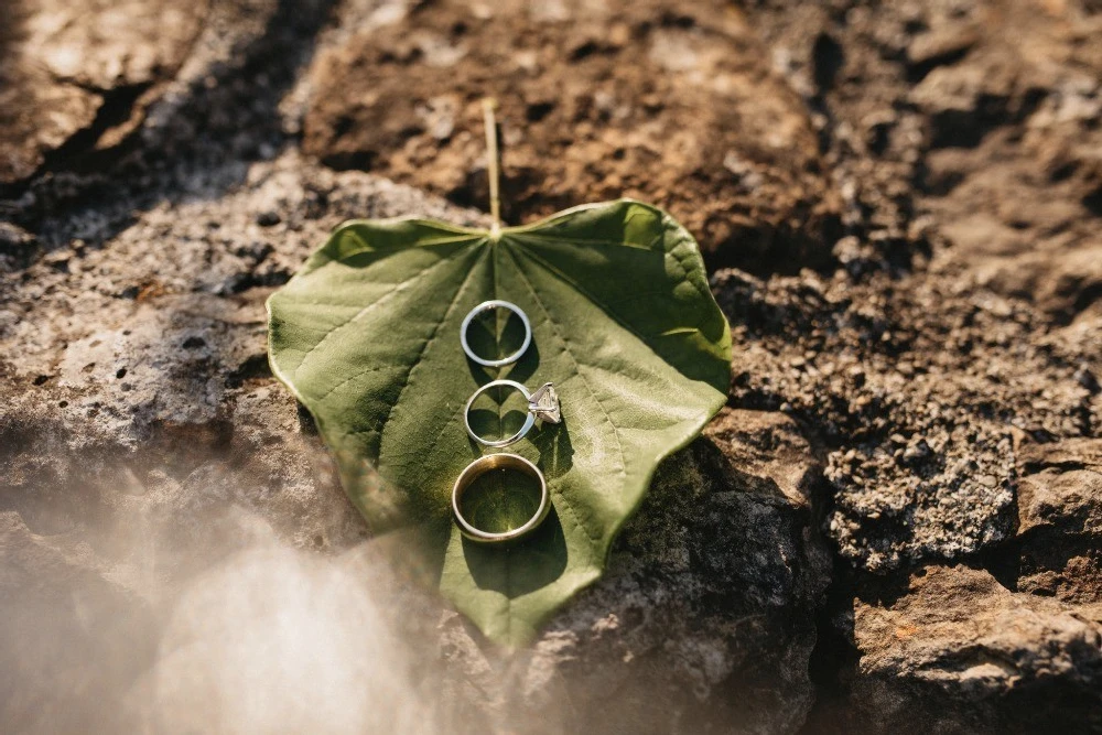 A Wedding for Brandy and Michael