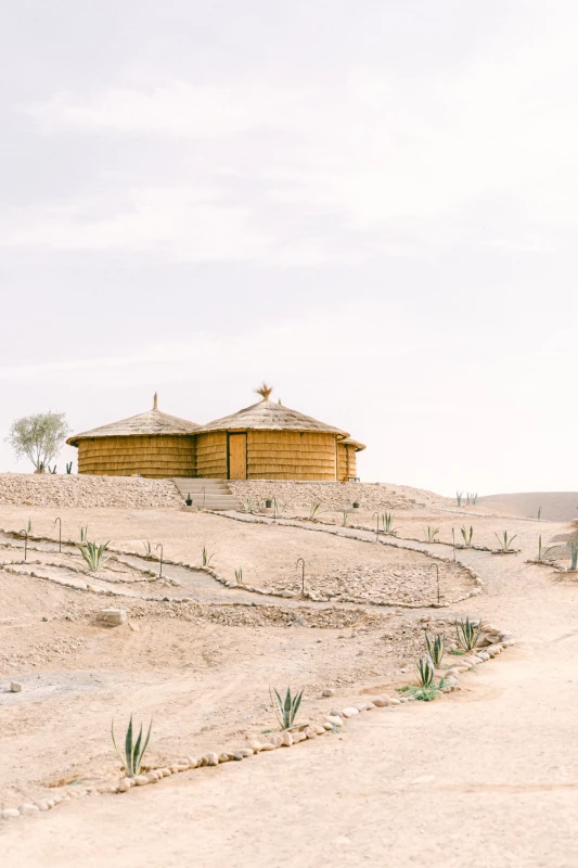A Desert Wedding for Cadence and Henry