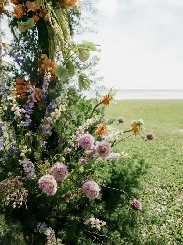 A Colorful Wedding for Caitlin and Alex