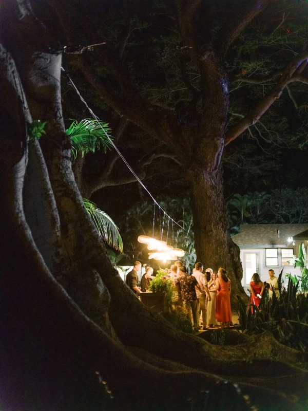 A Colorful Wedding for Caitlin and Alex