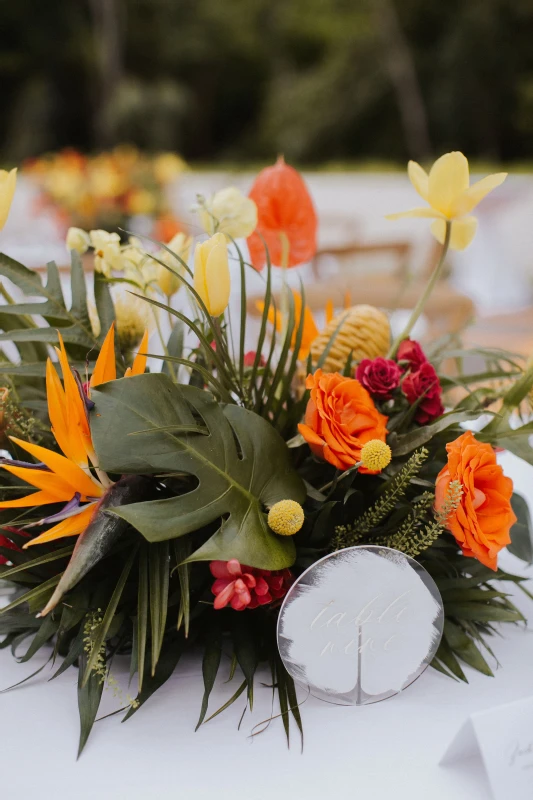 An Outdoor Wedding for Caitlyn and Marco