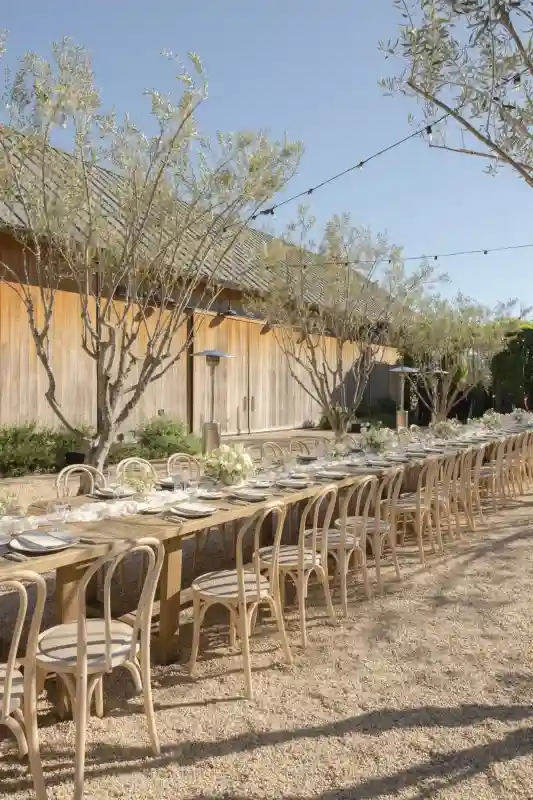 A Vineyard Wedding for Cara and Colin