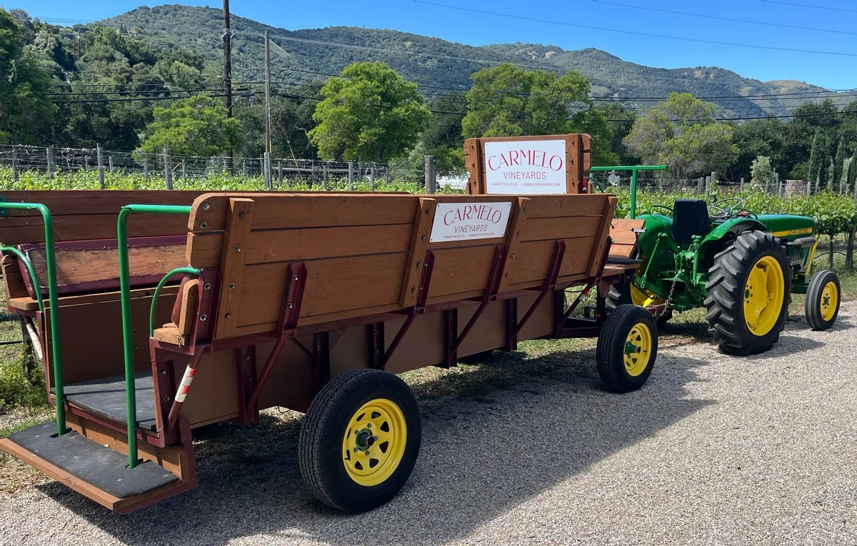 Carmelo Vineyards