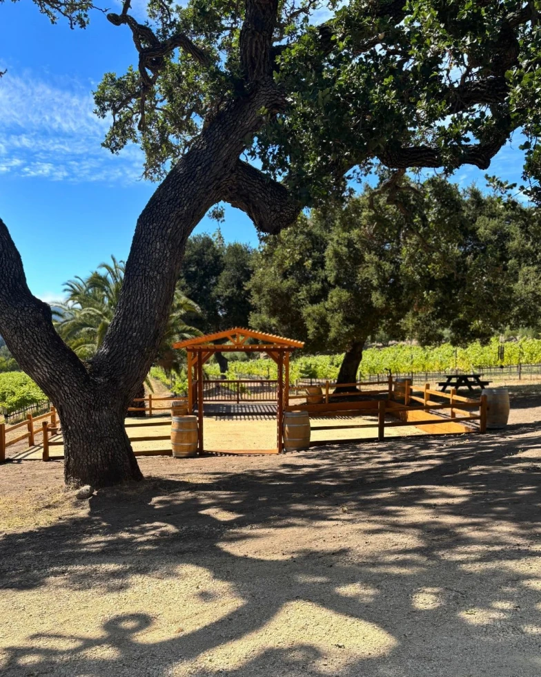 Carmelo Vineyards