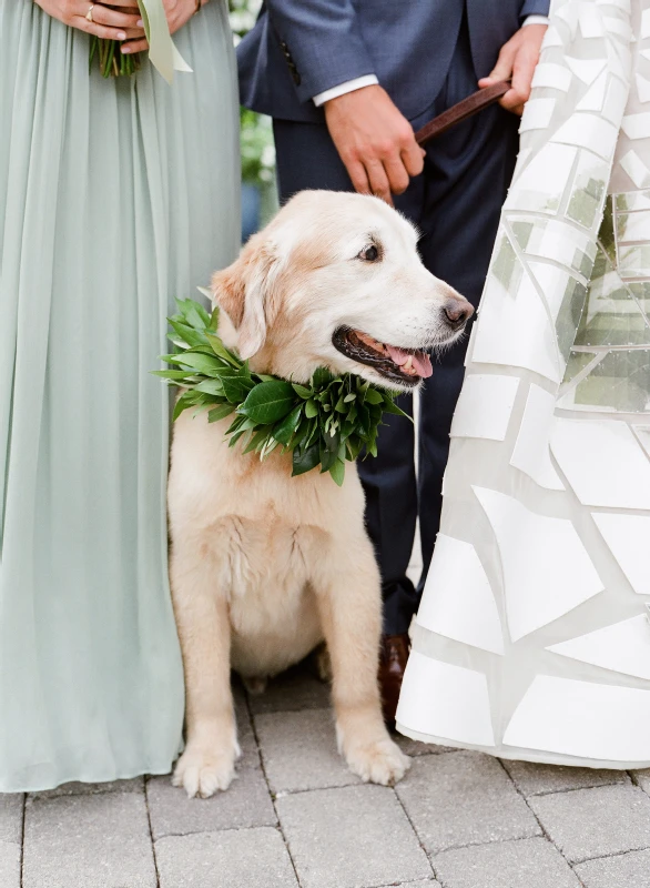 A Classic Wedding for Casey and Mike