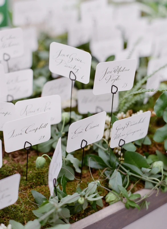 A Classic Wedding for Casey and Mike