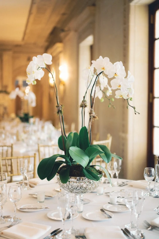 A Classic Wedding for Cat and Joe