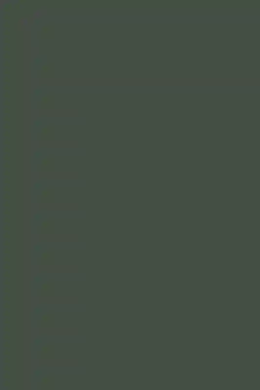 A Mountain Wedding for Catie and Tim