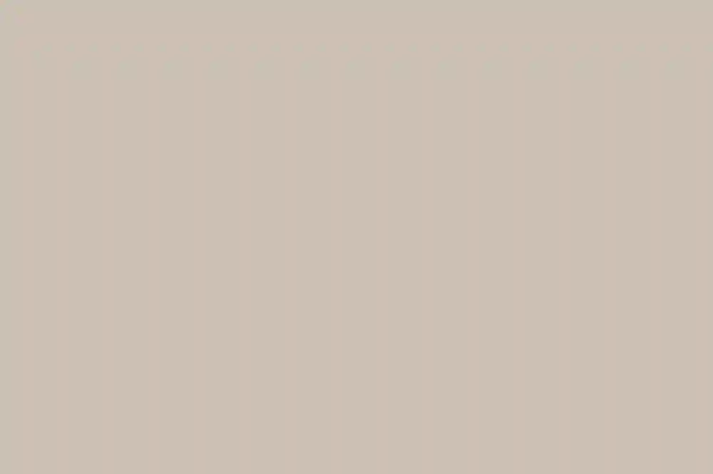 A Wedding for Clara and Scott