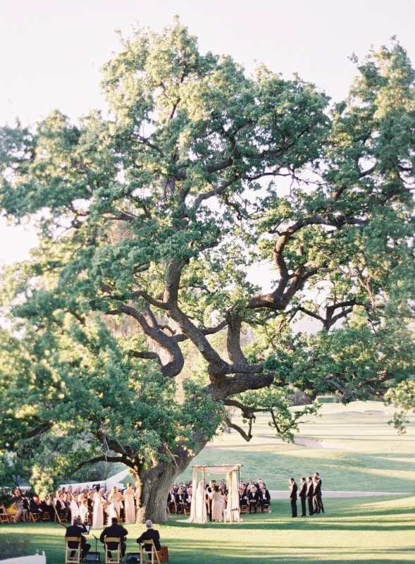 A Wedding for Meghan and David
