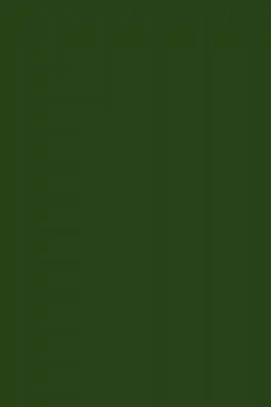 A Wedding for Mackenzie and Andrew