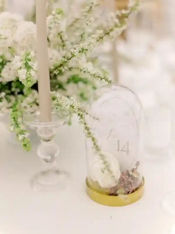 An Elegant Wedding for Chandon and Michael