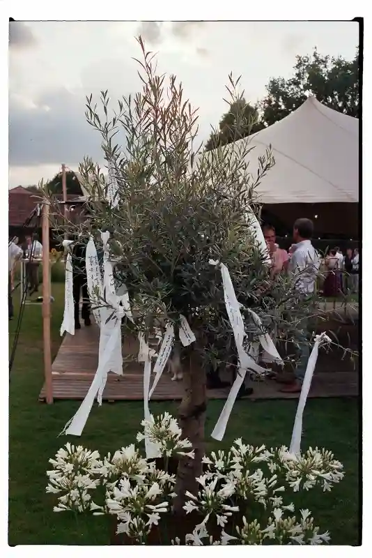 A Colorful Wedding for Charlotte and Michiel