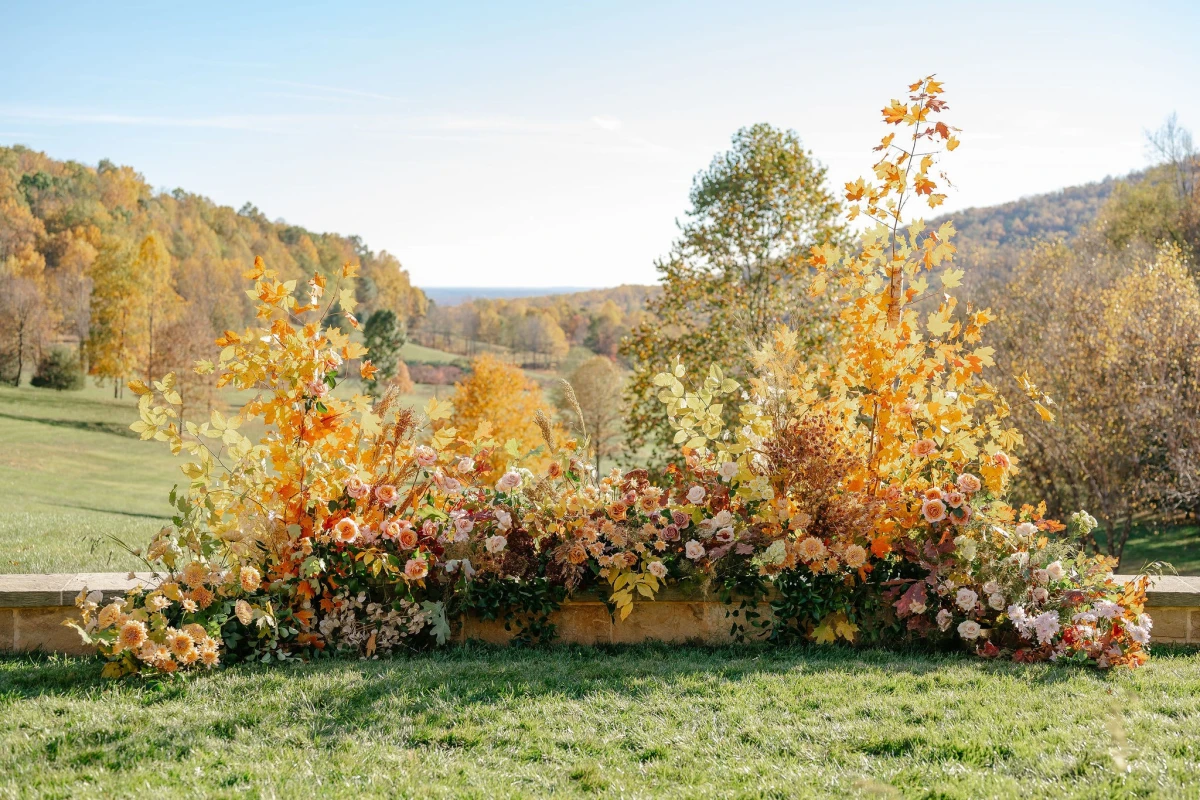 An Outdoor Wedding for Charlotte  and Quinn