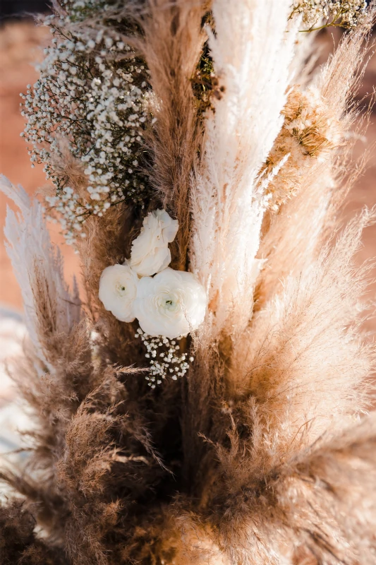 A Desert Wedding for Chasity and Francois