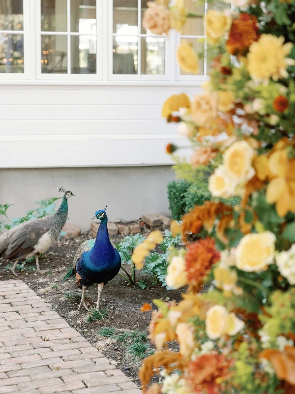 A Colorful Wedding for Chris and Chris