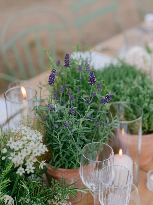 A Garden Wedding for Chris and Matt