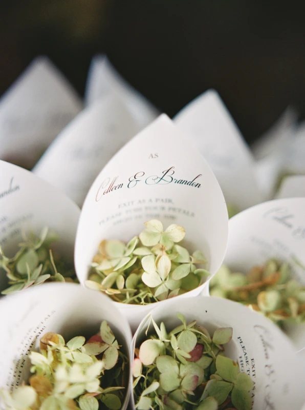 A Garden Wedding for Colleen  and Brandon