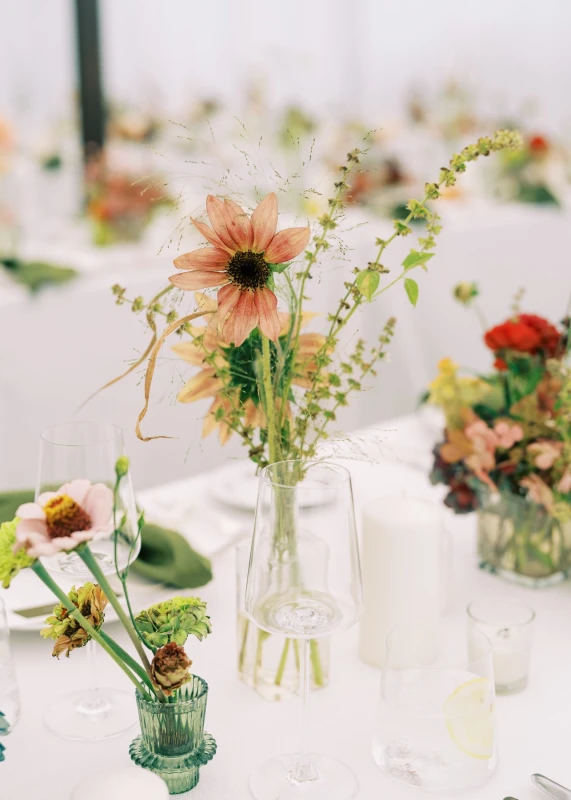 A Garden Wedding for Colleen  and Brandon