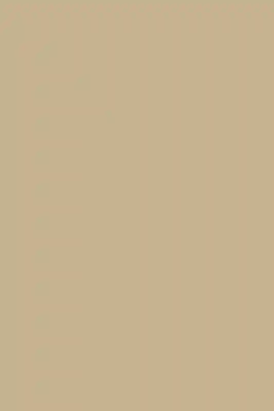 A Beach Wedding for Courtney and Morgan