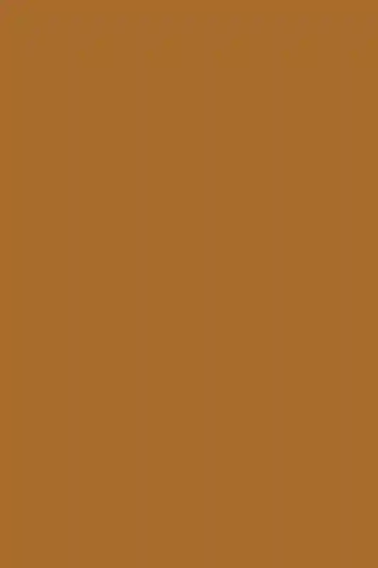 A Beach Wedding for Courtney and Morgan