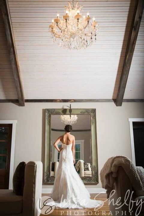 Lisa Shelby Photography