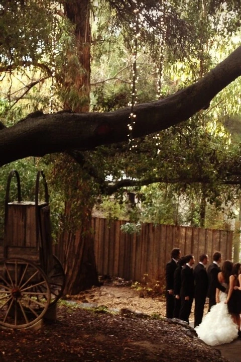 A Wedding for Whitney and Eric