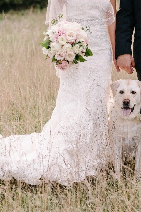 A Wedding for Melissa and Michael