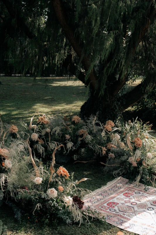 An Intimate Wedding for Csilla and Sean