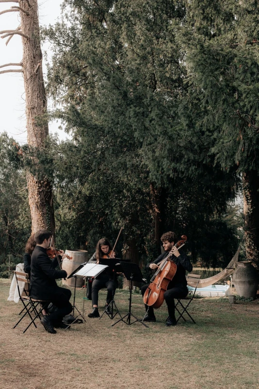 An Intimate Wedding for Csilla and Sean