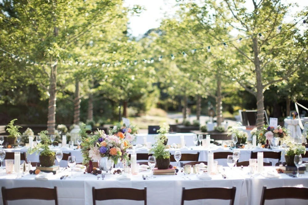 A Wedding for Amanda and Collin