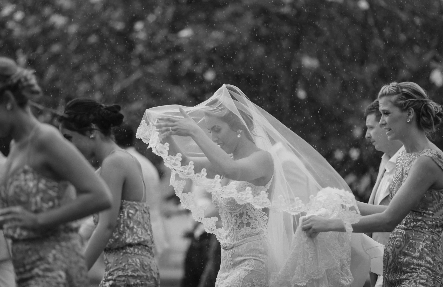 Daniel Baci Photography