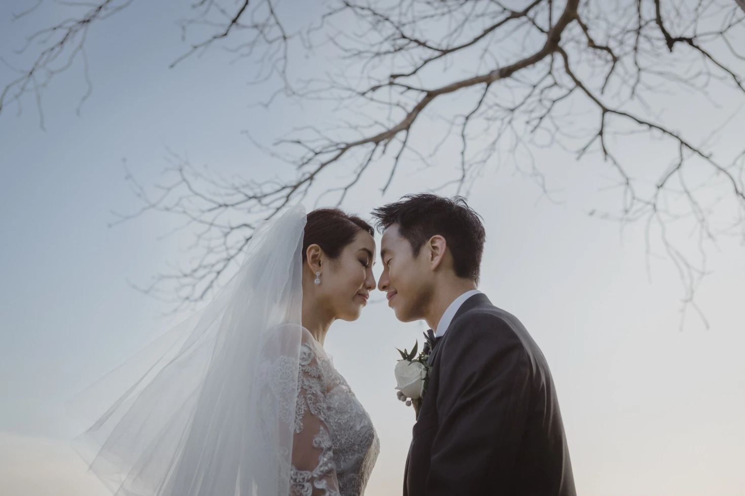 Daniel Baci Photography