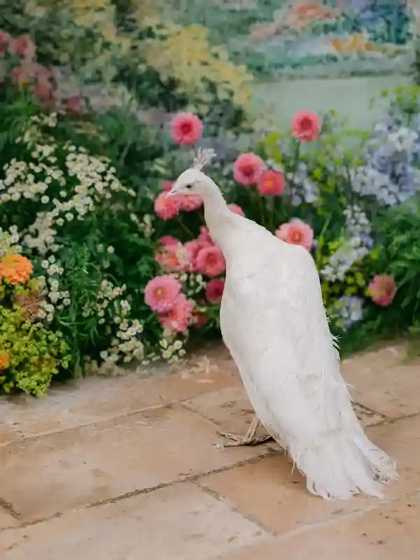 A Colorful Wedding for Danielle and Neil