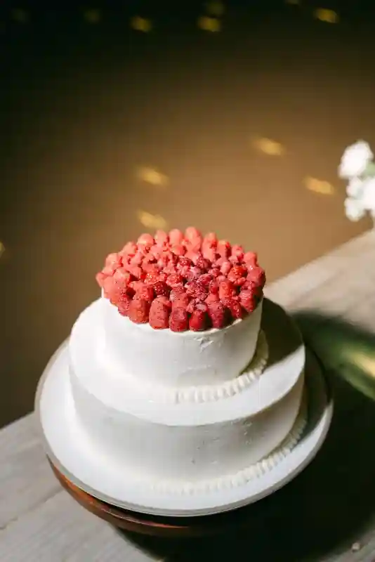 A Vineyard Wedding for Danielle and Sebastian