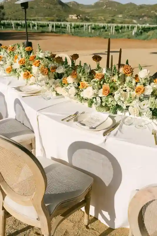 A Vineyard Wedding for Danielle and Sebastian