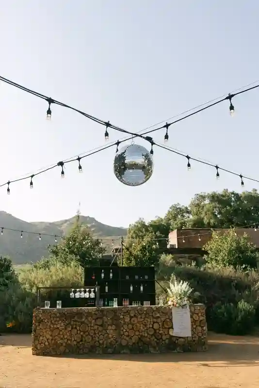 A Vineyard Wedding for Danielle and Sebastian