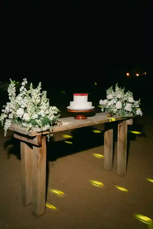 A Vineyard Wedding for Danielle and Sebastian