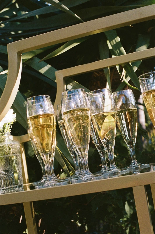 A Garden Wedding for Davis  and Sam