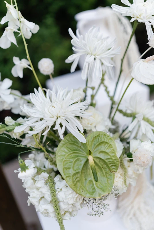 A Garden Wedding for Davis  and Sam