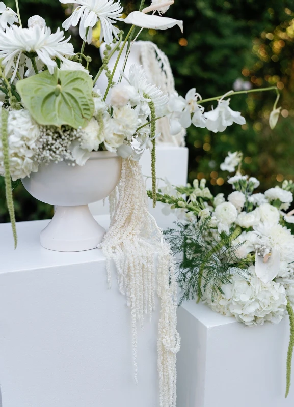 A Garden Wedding for Davis  and Sam