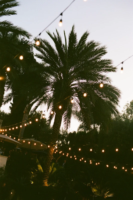 A Garden Wedding for Davis  and Sam