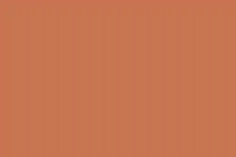 A Wedding for Lindsay and Andrew