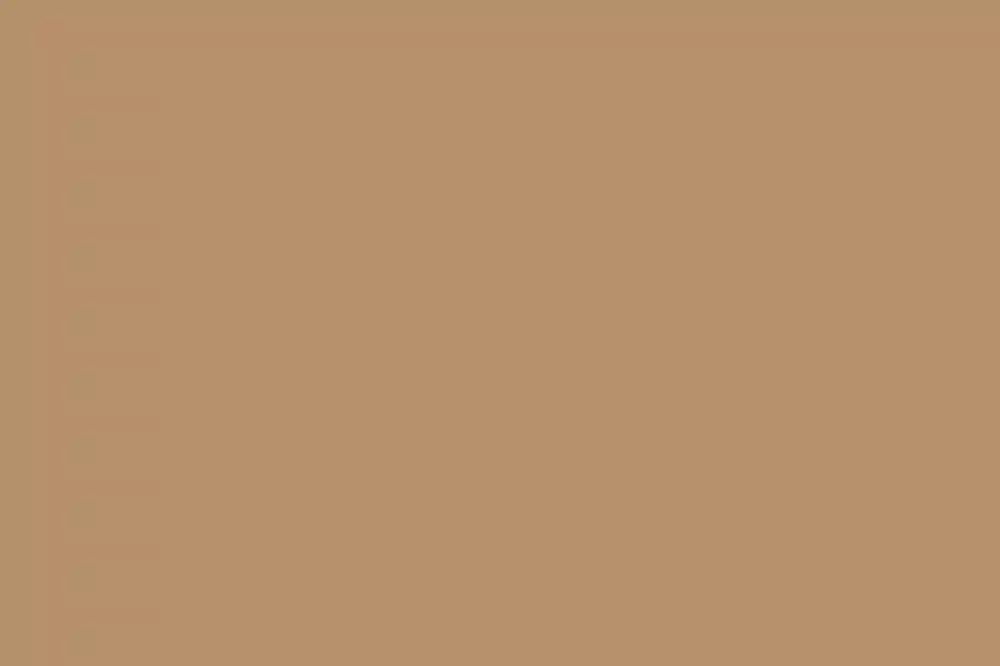 A Wedding for Clara and Scott