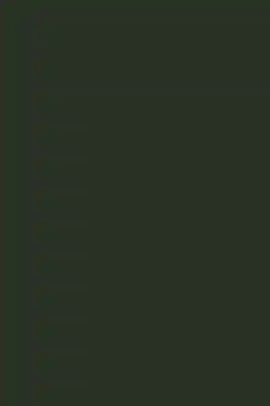 A Colorful Wedding for Deanna and Jason